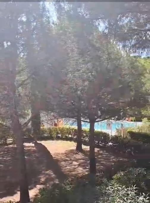 Appartement Un Petit Coin De Paradis