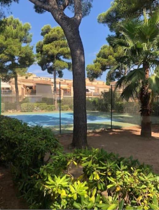 Un Petit Coin De Paradis * Agde